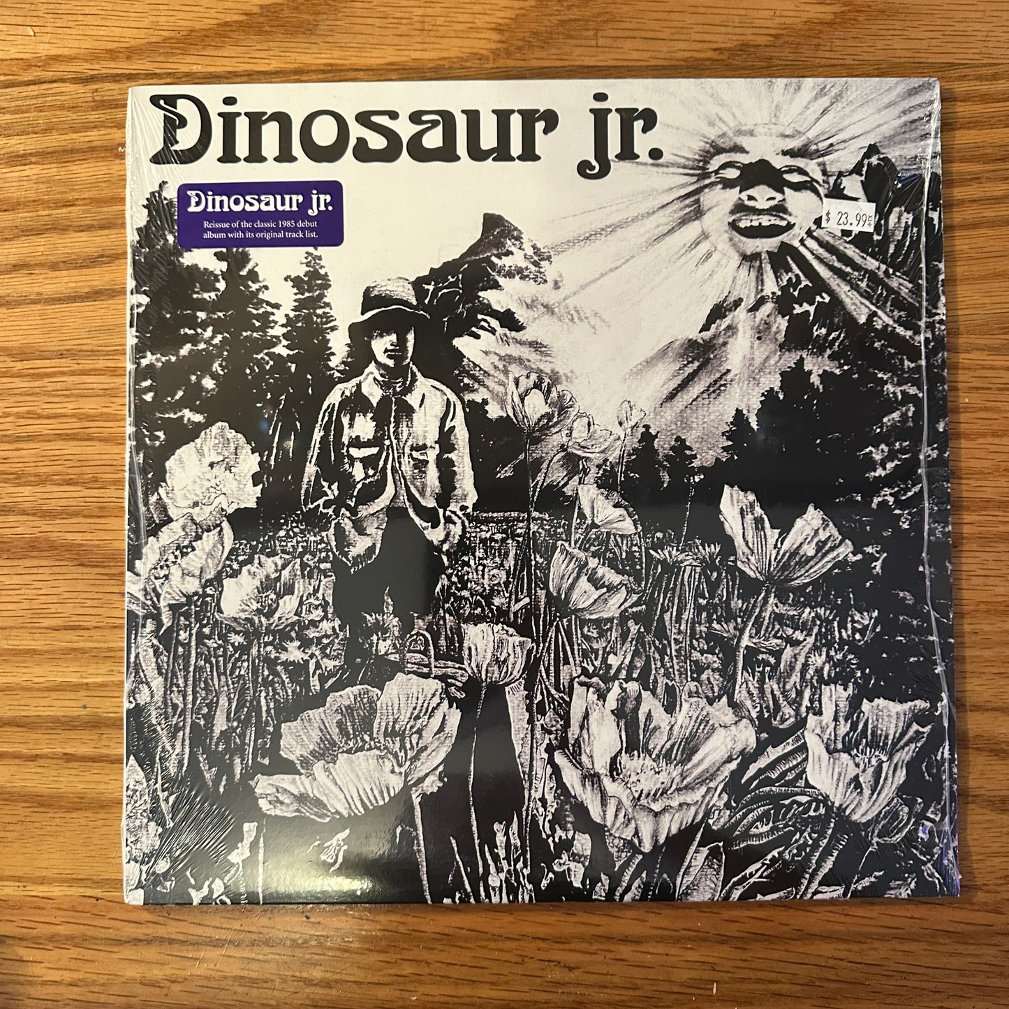 Dinosaur Jr. "Dinosaur" LP