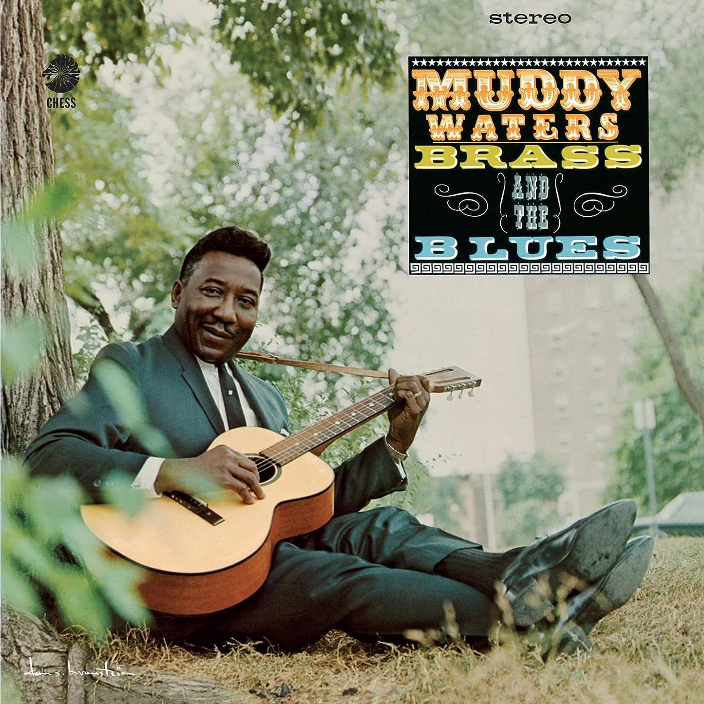 Muddy Waters "Brass and the Blues" LP